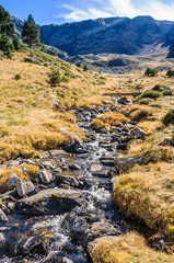 Fototapeta na wymiar Calm stream in the Valley of Estanyo River, Andorra
