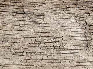 Old wood texture
