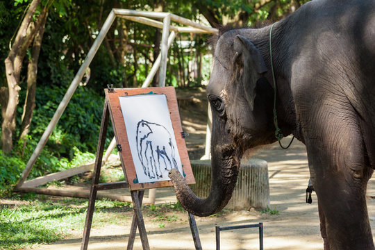 An elephant paint a watercolor.