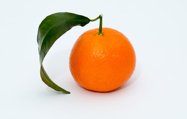 Ripe mandarin citrus on white background