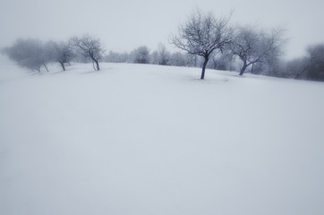 Fototapeta na wymiar simple winter landscape with trees