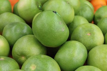 pamplemousse vert