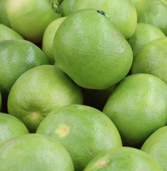 pamplemousse vert