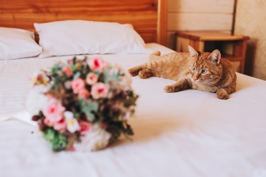 cat and wedding bouquet