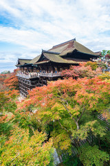 Naklejka premium 京都 世界遺産 清水寺