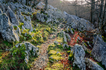 trail between the rocks