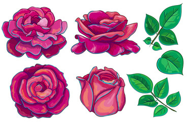 Collection of red vector roses with rose leaves