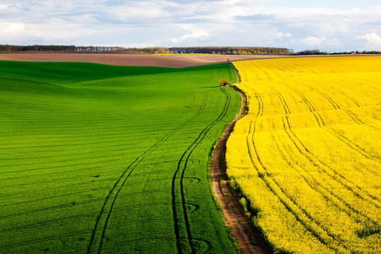 Colorful patterns in the fields