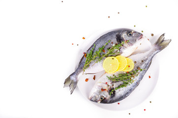 Fresh raw gilthead fishes with lemon, herbs, salt on plate, white background. Healthy food concept. Food frame