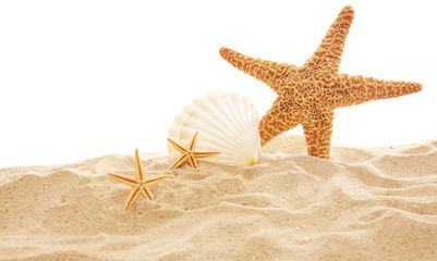 Fototapeta na wymiar Starfish and shells on sand against white background