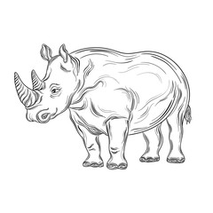 Rhinoceros