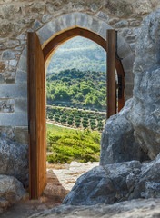 door with views