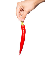 Hot chili pepper in hand