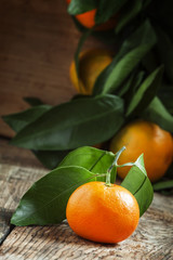 Tangerine with leaves, selective focus