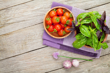 Fresh farmers tomatoes and basil
