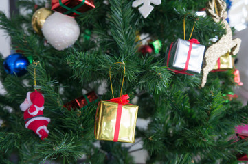 present box decor on pine tree