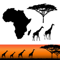 Africa and Safari elements