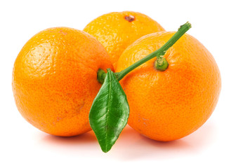Three mandarin with leaf
