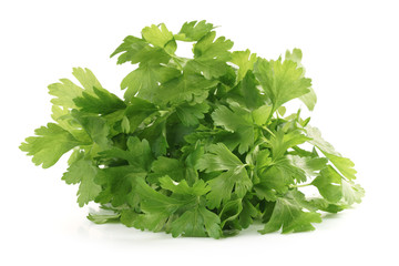 bunch of fresh parsley isolated