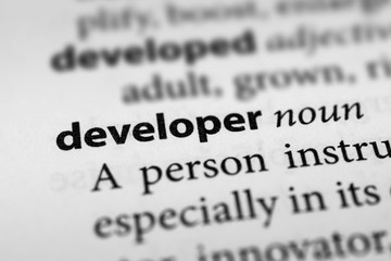 Obraz premium Developer