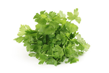 bunch of fresh parsley isolated
