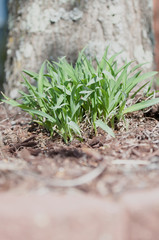 Spring has sprung