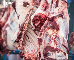 slaughterhouse cows, hanging on hooks