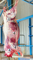 slaughterhouse cows, hanging on hooks