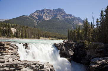 Fototapeta na wymiar athabaska falls Jasper Alberta