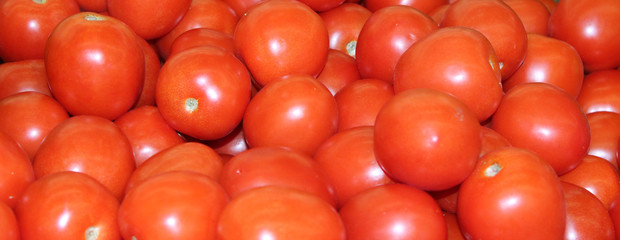 tomate