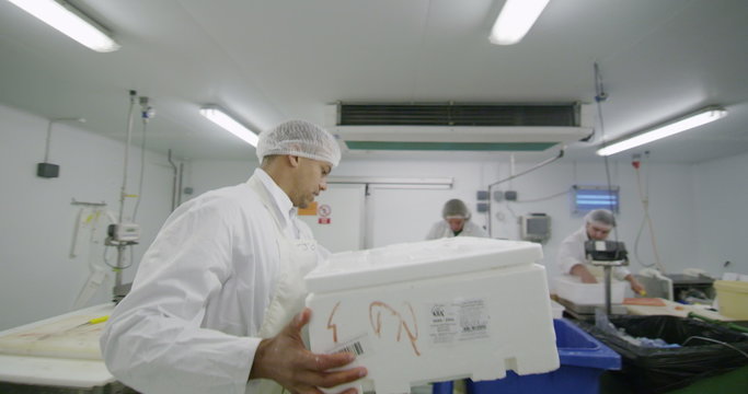 Workers in a seafood processing factory preparing fresh fish for sale
