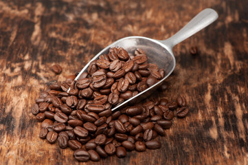 Roasted coffee beans scoop