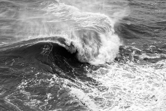 Fototapeta Dynamic black and white waves