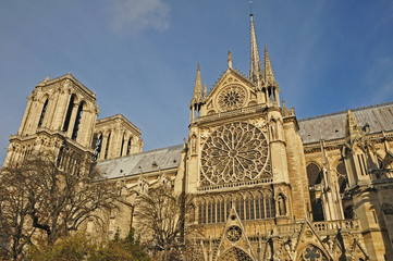 Fototapeta na wymiar Parigi, la cattedrale di Notre Dame