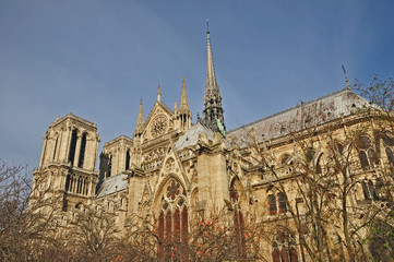 Parigi, la cattedrale di Notre Dame