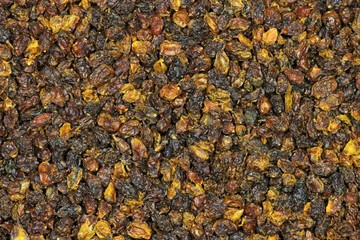 getrocknete Sanddornbeeren als Hintergrundbild