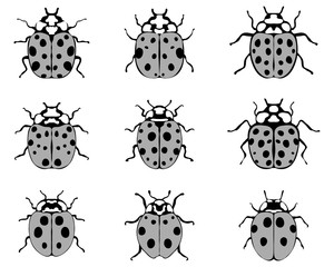 Naklejka premium Set of nine different cheerful ladybugs, illustration