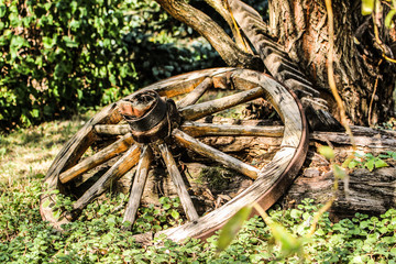 Old wooden wheel
