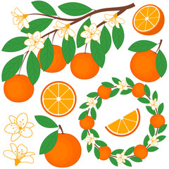 Orange Set