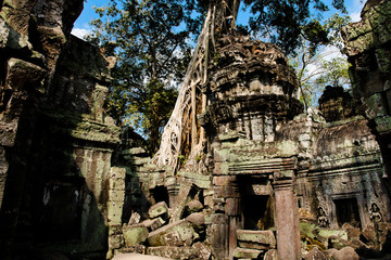 Naklejka premium Angkor Thom Ruins - Cambodia