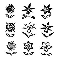 Flower set. Black silhouettes on white background.  Isolated symbols of flowers and leaves. Vector