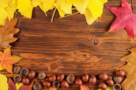 Autumn leaves and acorn frame background