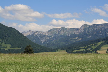 Obraz premium Alp views in Germany, 2009