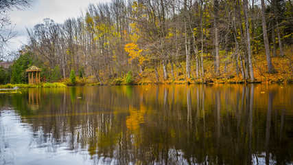 Reflective Autumn Pond Landscape