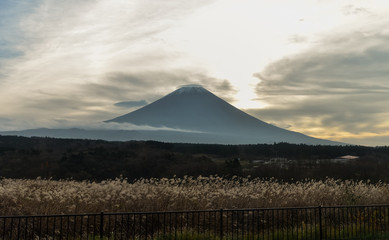 Mountain Fuji in shizuoka
