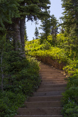 Stairway in Wilderness Trail
