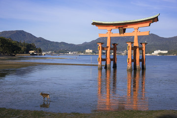 厳島神社の大鳥居