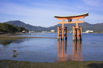 厳島神社の大鳥居