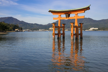 Obraz premium Otorii ze świątyni Itsukushima