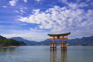 厳島神社の大鳥居とうろこ雲